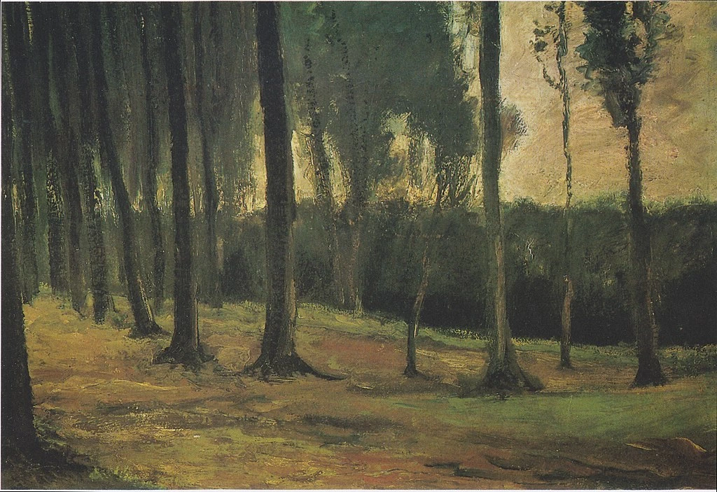  21-Vincent van Gogh-Bordo della foresta - Kröller-Müller Museum, Otterlo 